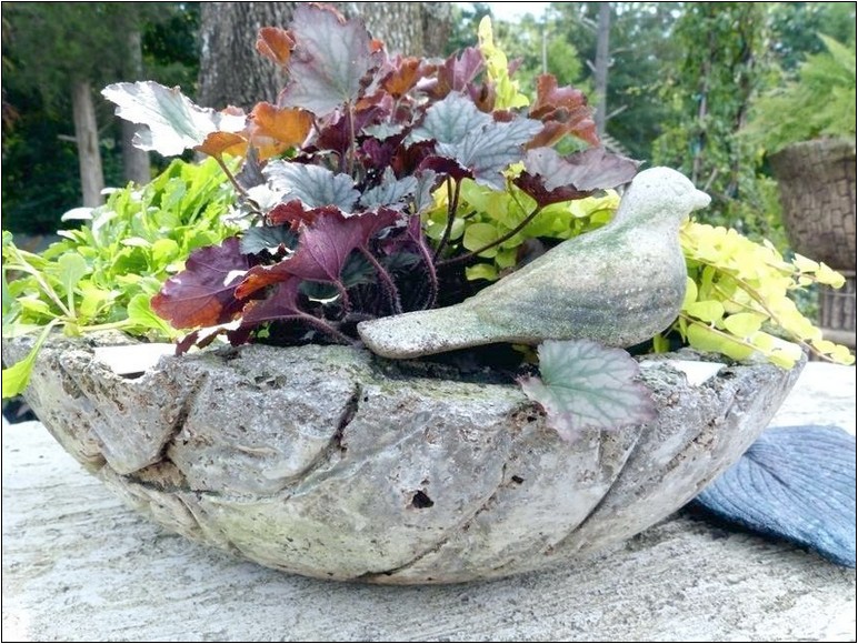 Garden Supply Company Cary Coupon