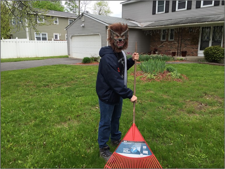 Lawn Care In Liverpool Ny